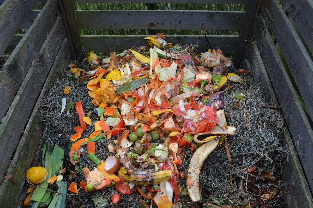 Biodéchets : matière sèche et matière humide en cours de compostage dans un bac en bois. Ben Kerckx, 2014,Pixabay-CC BY-SA 3