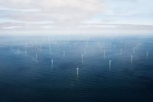 Le parc éolien offshore de Nysted : 72 éoliennes, 165,6 MW